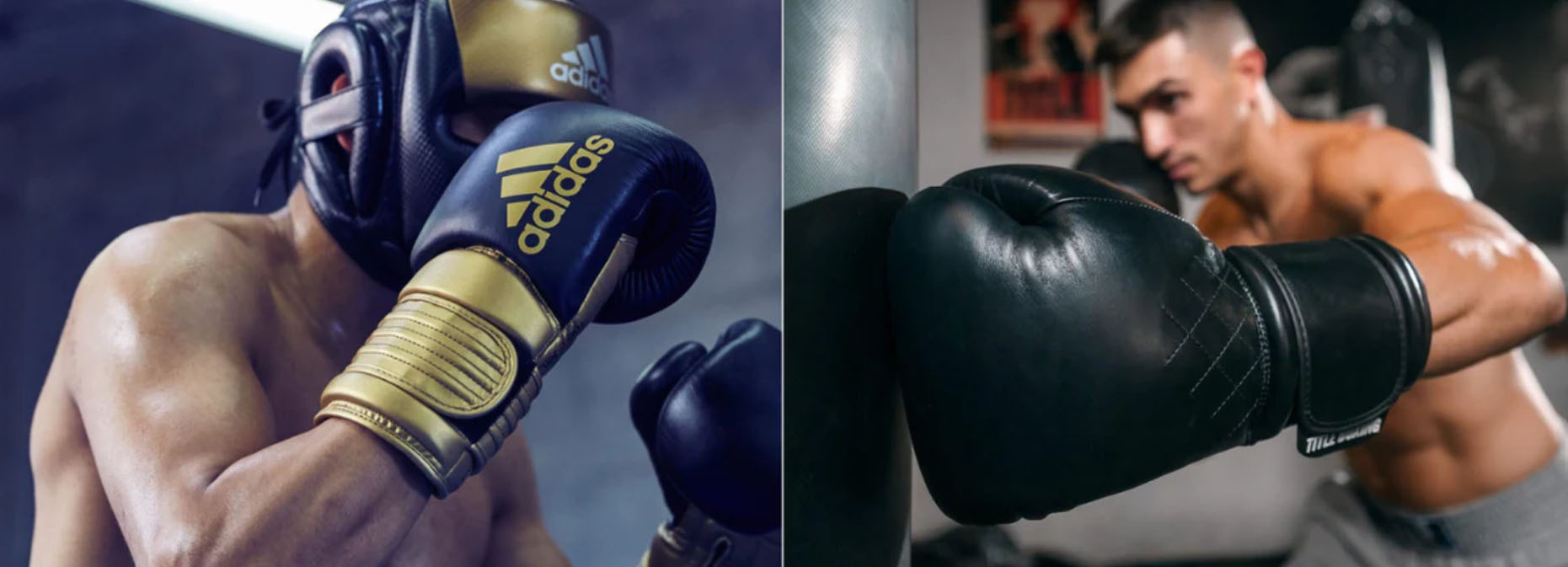 Boxe Séries Magasin -Boxe Séries Magasin vnhvhn